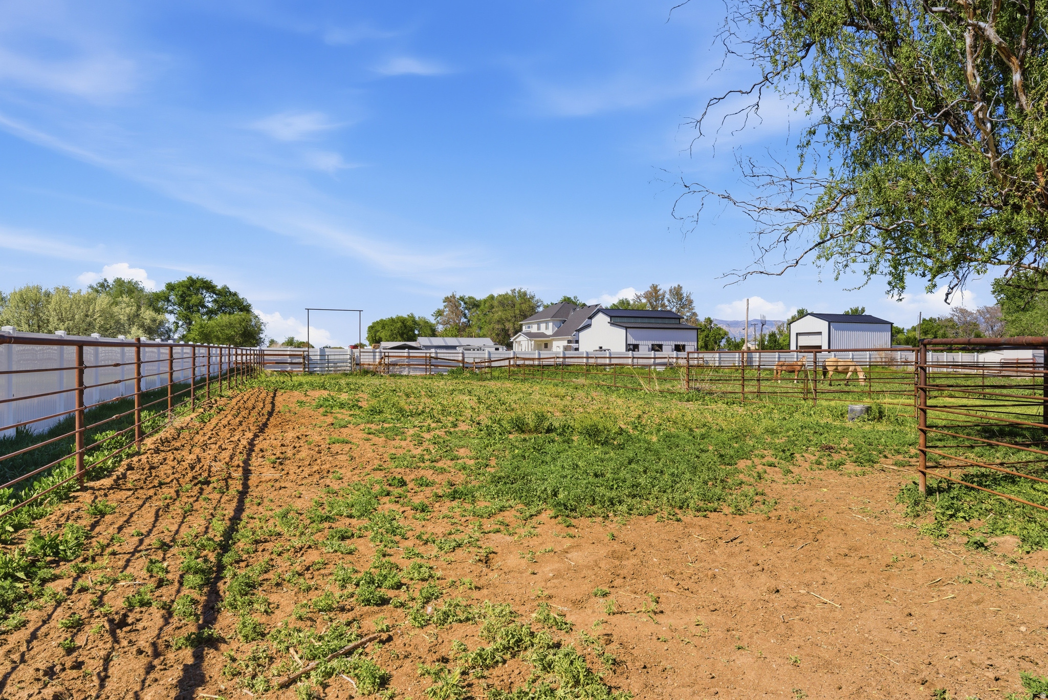 HORSESHOE RANCH - Residential