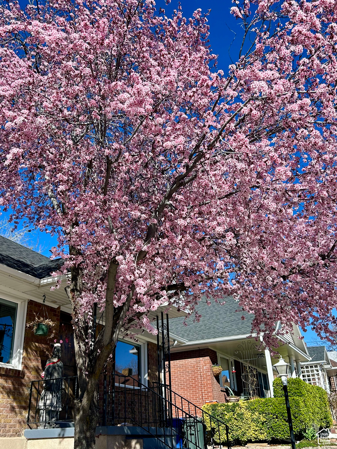 Salt Lake City, Utah 84102, United States, 3 Bedrooms Bedrooms, ,3 BathroomsBathrooms,Residential,Pending,21456