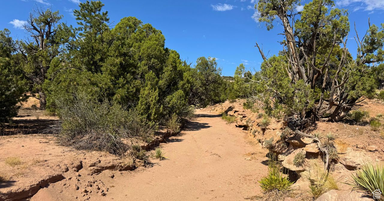 COYOTE HILLS NORTH - Land
