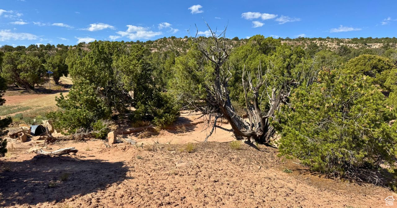 COYOTE HILLS NORTH - Land