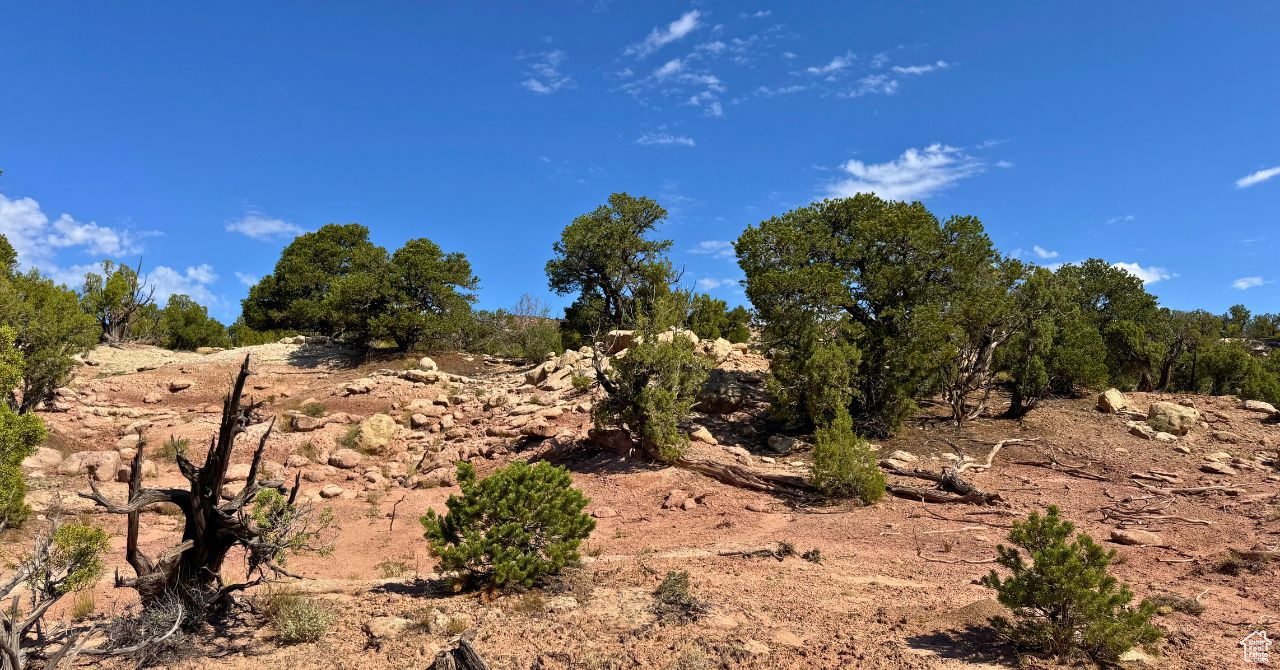 COYOTE HILLS NORTH - Land