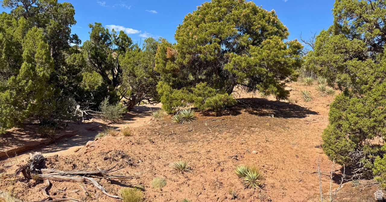 COYOTE HILLS NORTH - Land