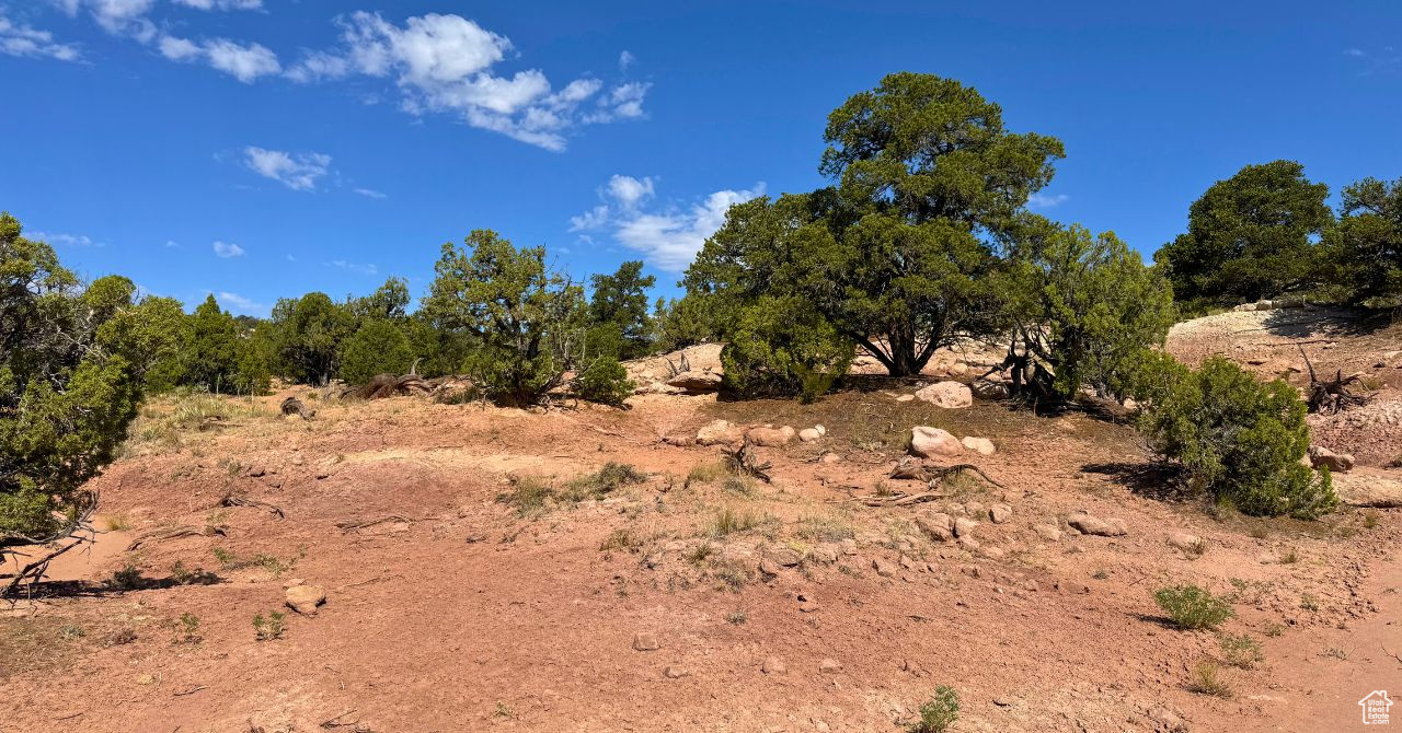 COYOTE HILLS NORTH - Land