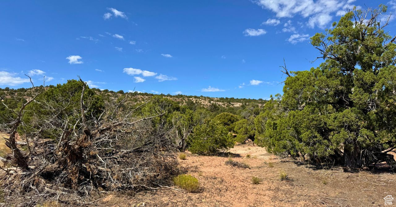 COYOTE HILLS NORTH - Land