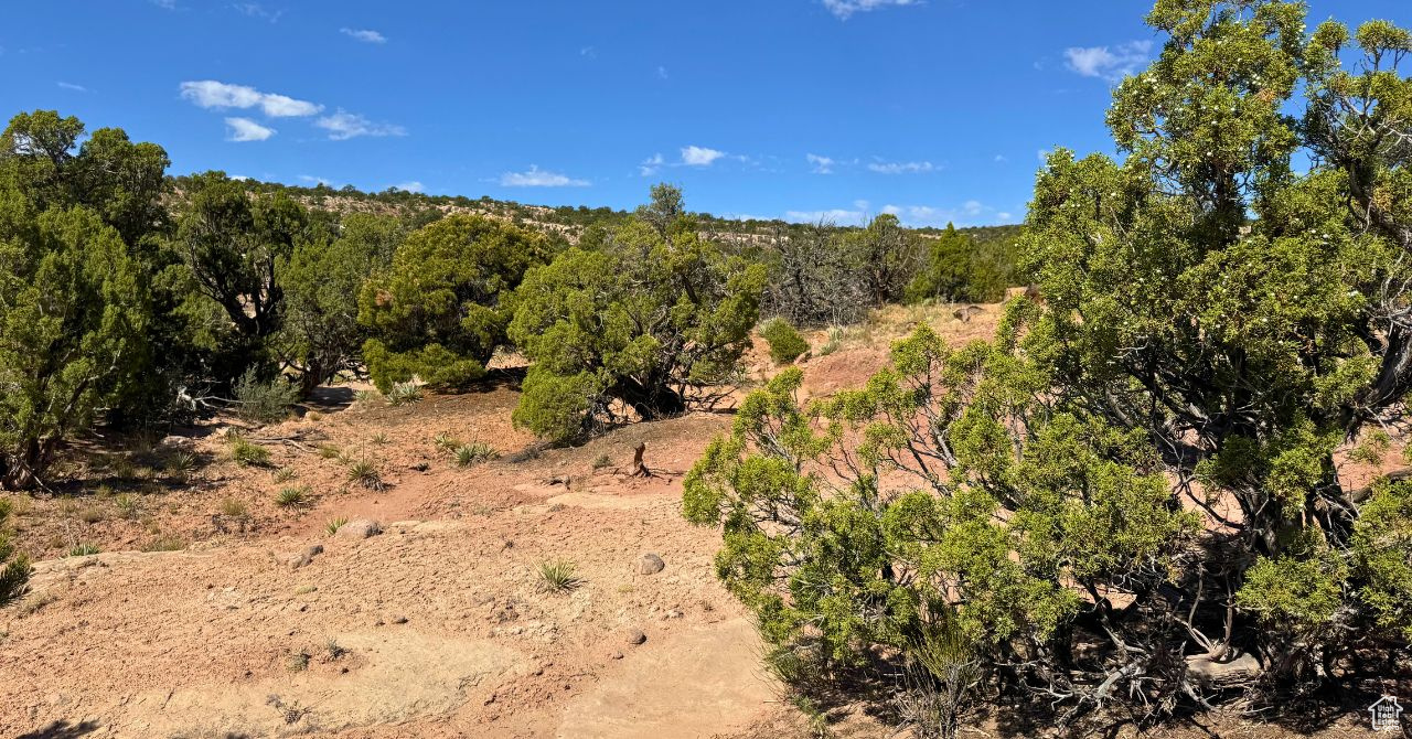 COYOTE HILLS NORTH - Land