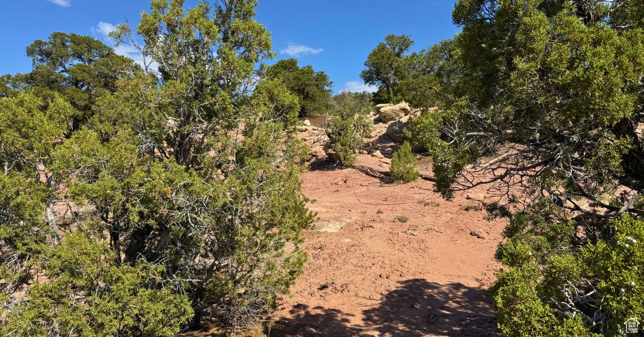 COYOTE HILLS NORTH - Land