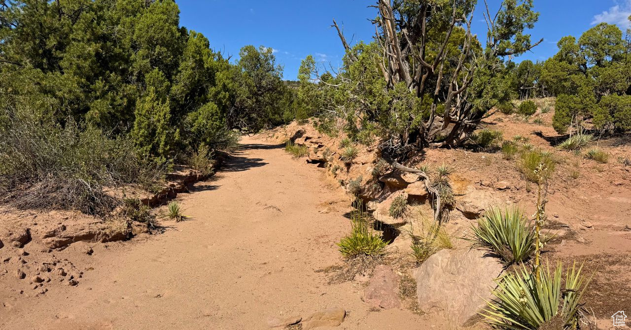 COYOTE HILLS NORTH - Land