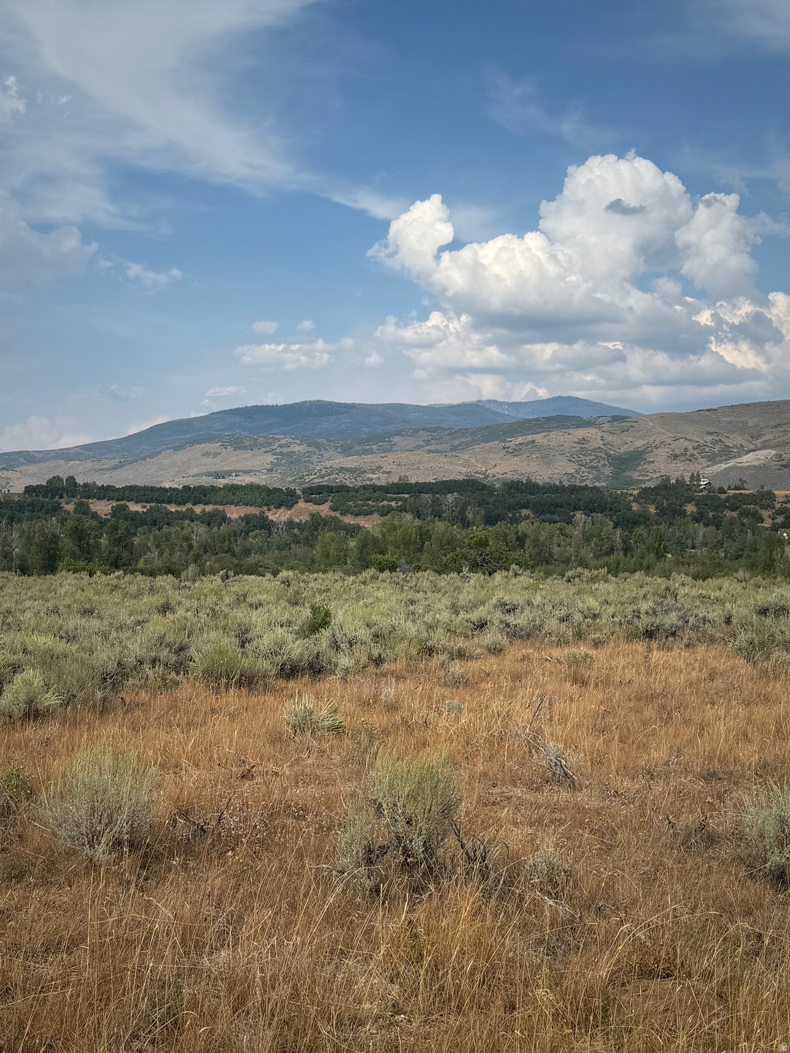 WOODLAND ESTATES - Land