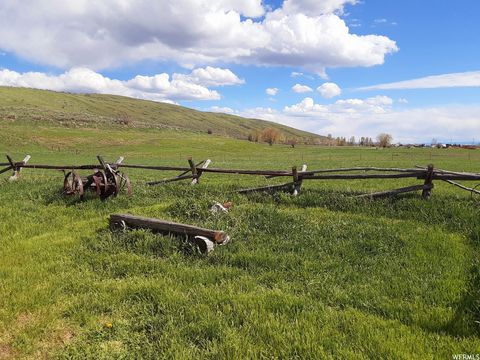 Vacant Land For Sale - #2<br/> Montpelier, ID 83254