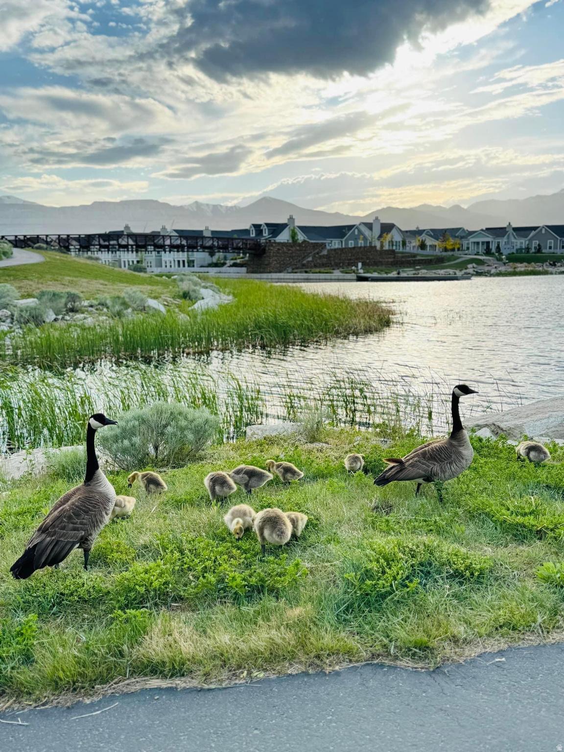 KENNECOTT - Residential