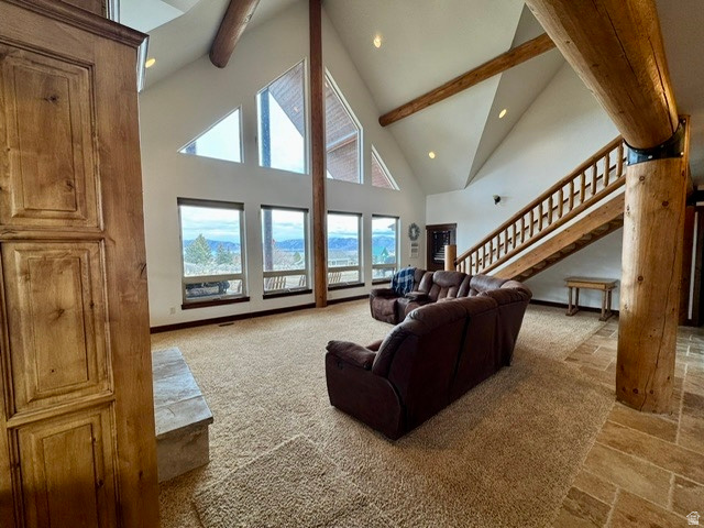 OMEGA SUB - Residential