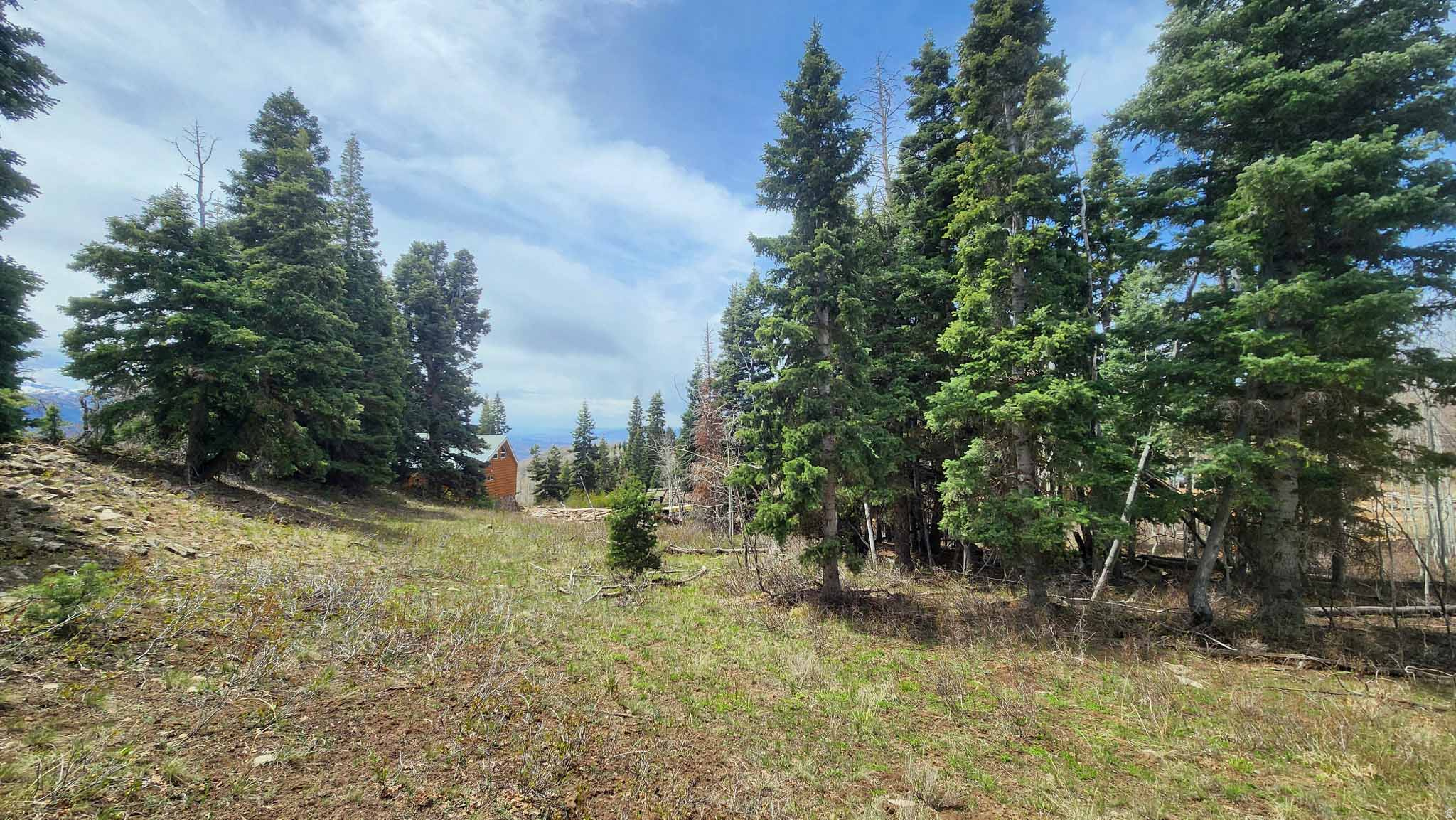 SKYLINE MTN RESORT - Land