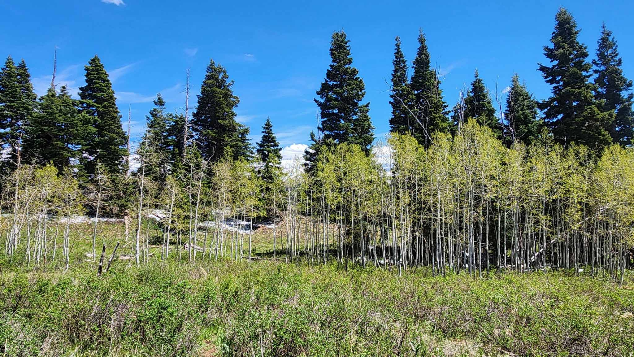 SKYLINE MTN RESORT - Land