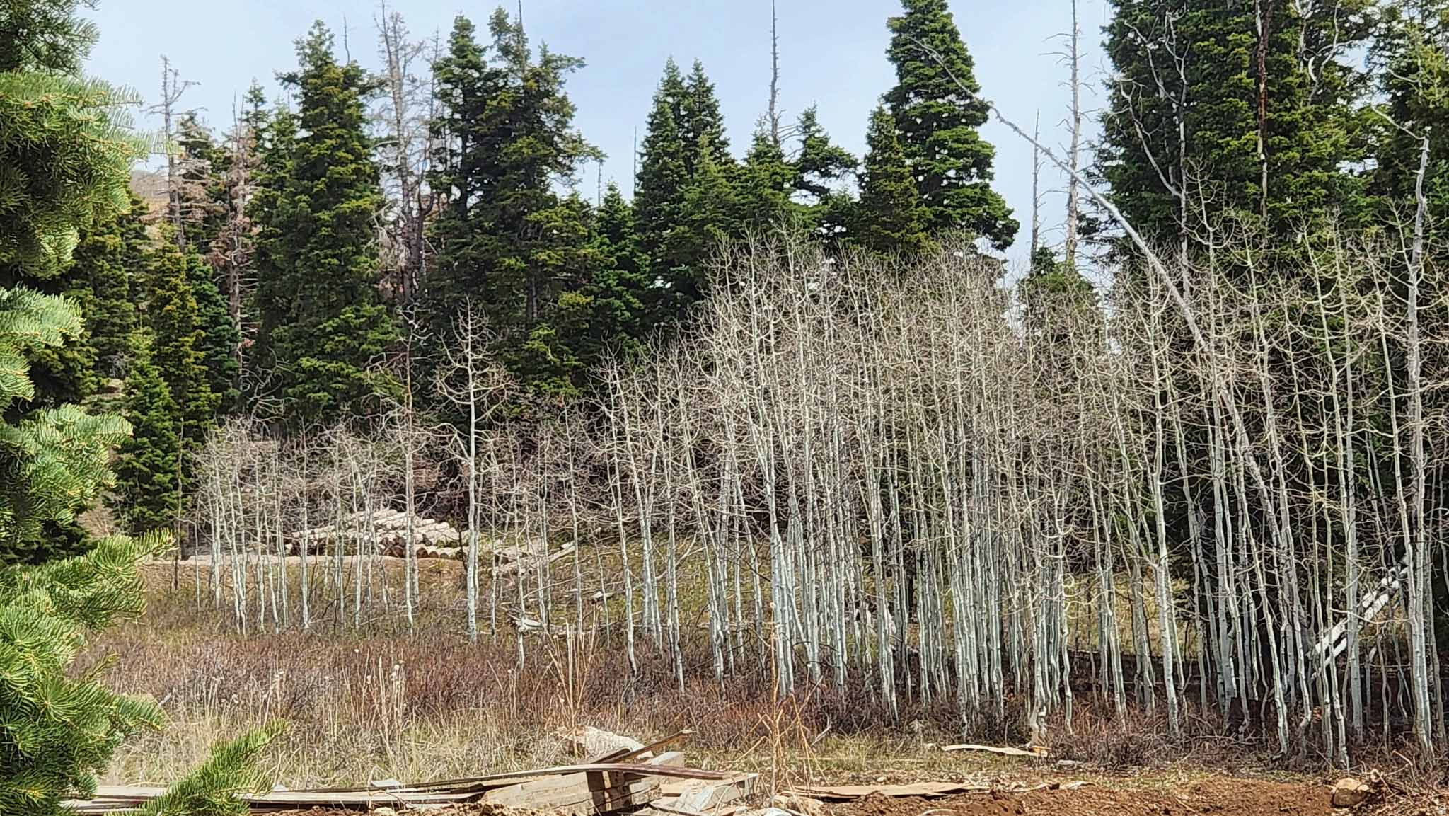 SKYLINE MTN RESORT - Land