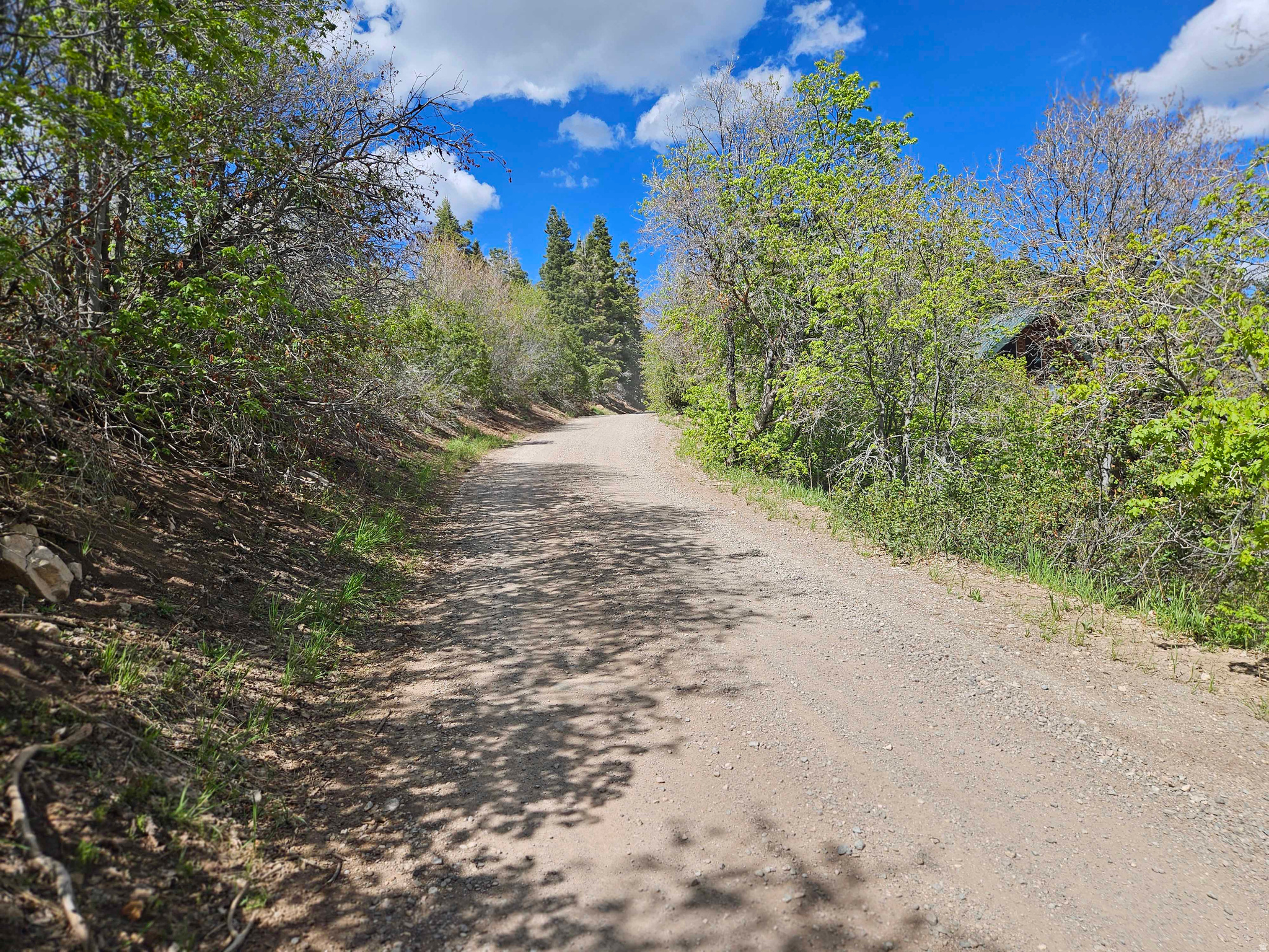 SKYLINE MTN RESORT - Land