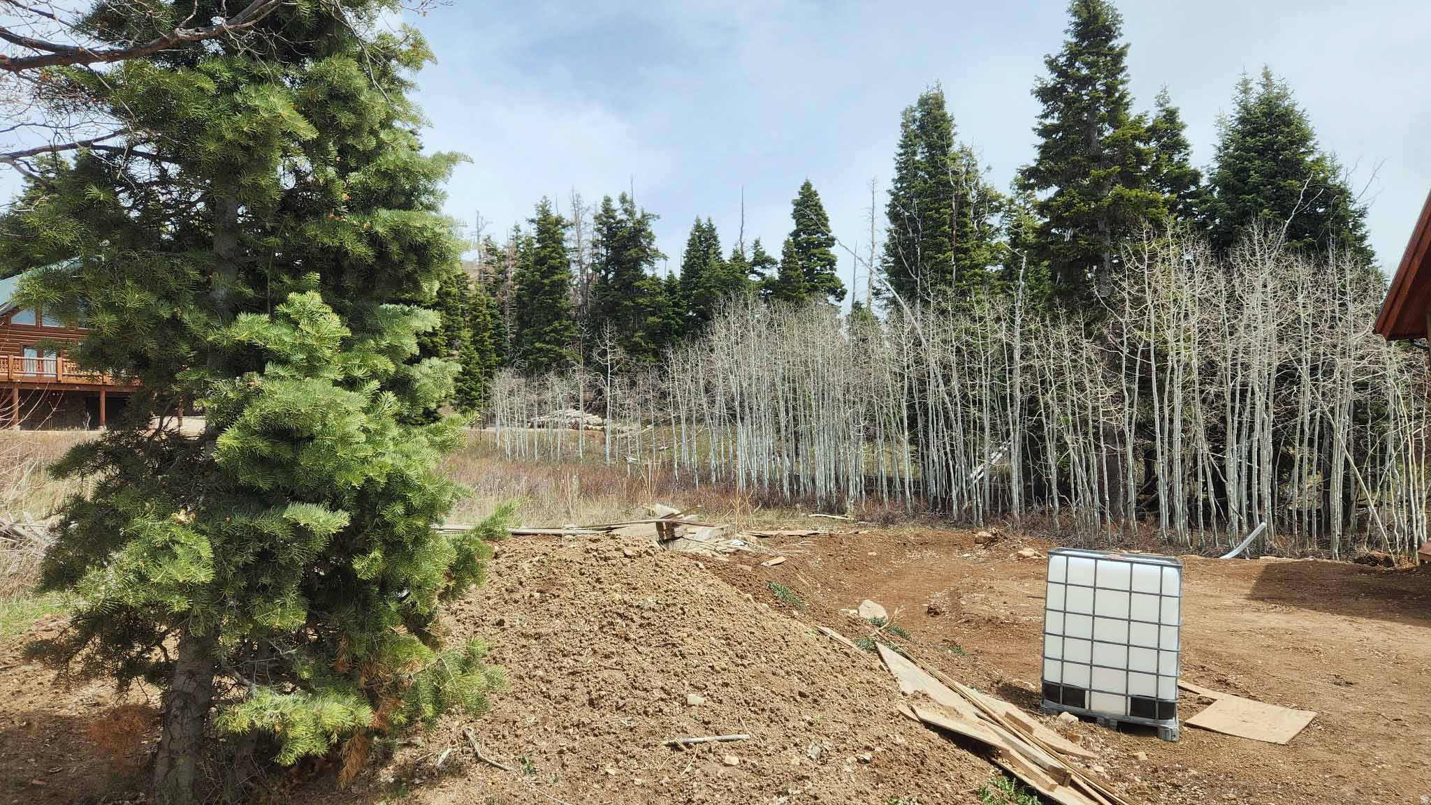 SKYLINE MTN RESORT - Land