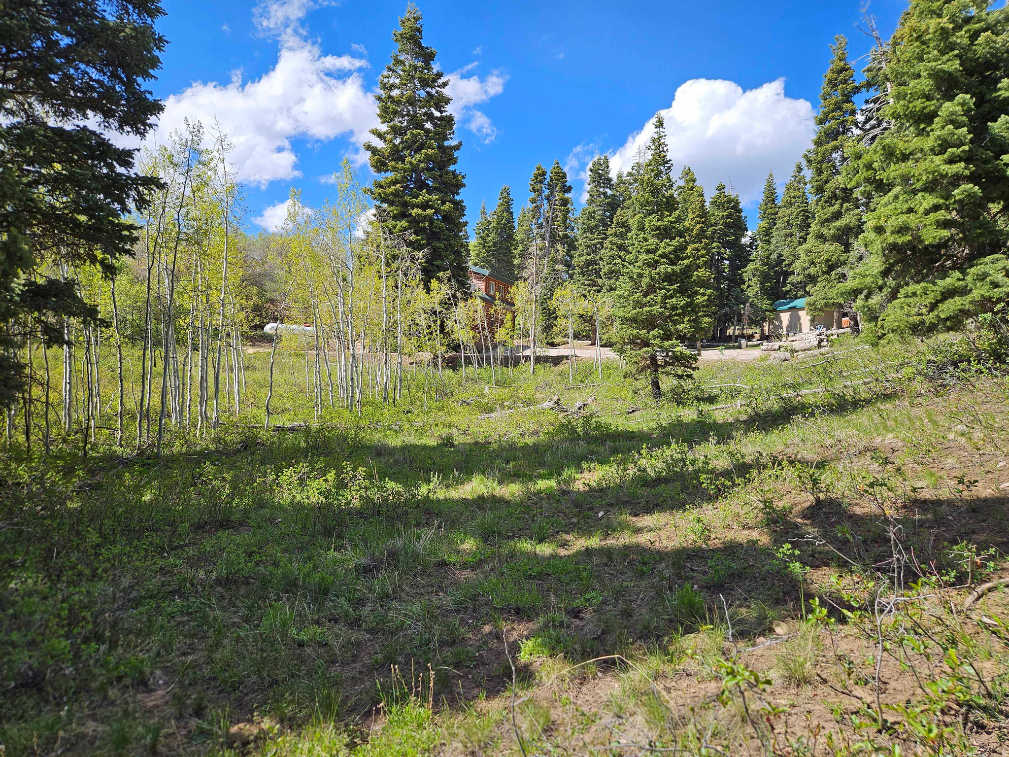 SKYLINE MTN RESORT - Land