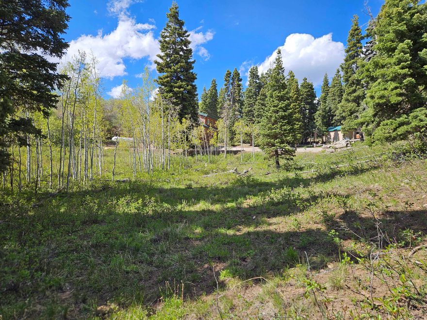 Property defined as Lot J50 in Skyline Mountain Resort. This property is located in the upper area of the subdivision in a area of very nice large pine & quaking aspen trees. Property owners have access to a golf course, swimming pool, tennis courts, pavilion and cabins that can be rented. Power is available, but not connected and a water system is in place (Community well is a short distance away). Note that this property is located in a gated community - contact listing agent for access to the property.