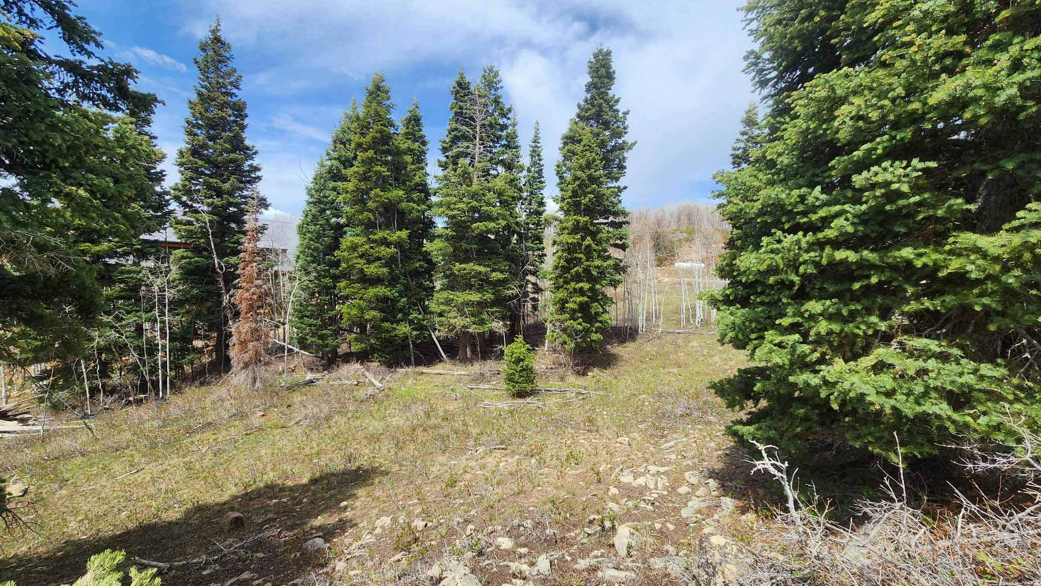 SKYLINE MTN RESORT - Land