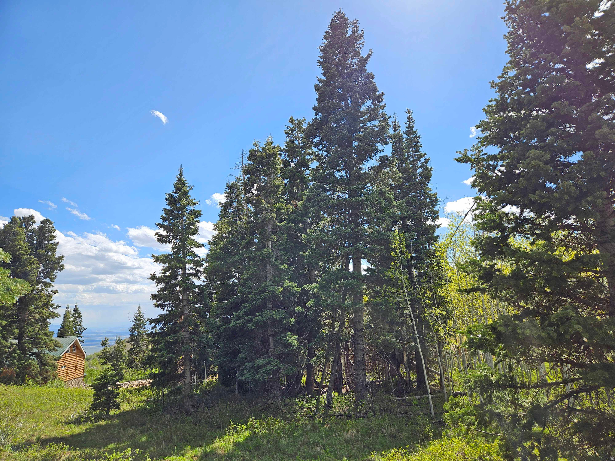 SKYLINE MTN RESORT - Land