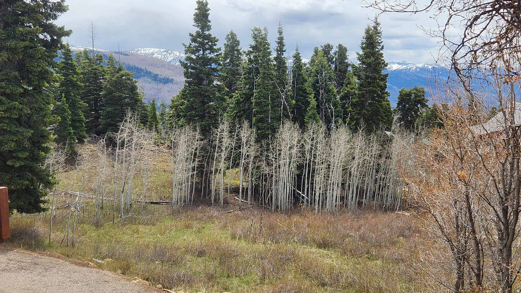 SKYLINE MTN RESORT - Land