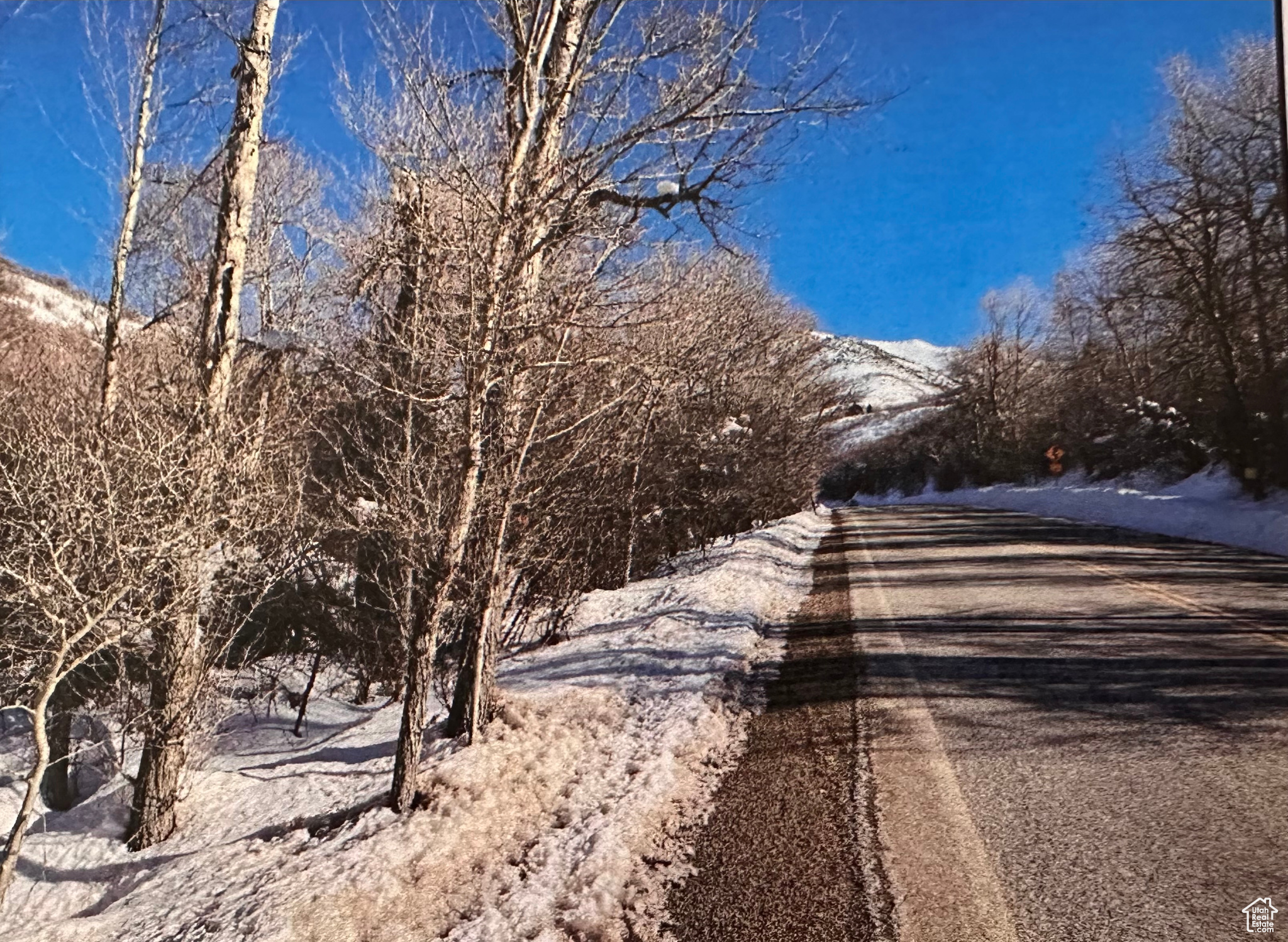 4993 N Powder Mountain Rd, Eden, Utah image 5