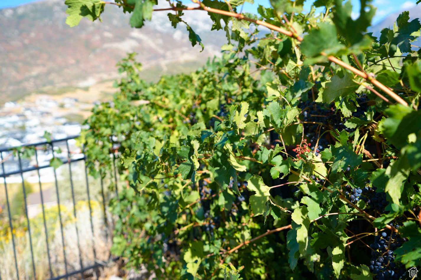 EAGLE CREST NO 1 AT SUNCREST - Residential