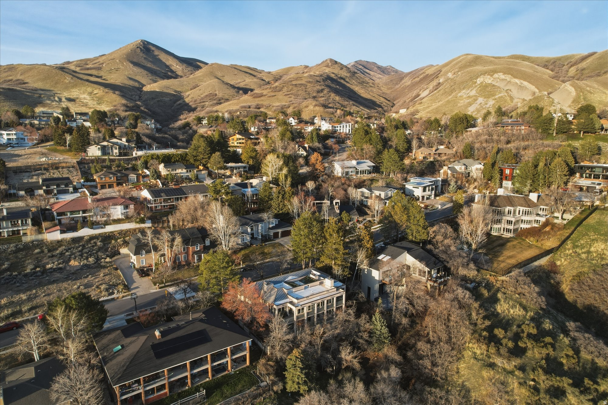 ARLINGTON PARK - Residential