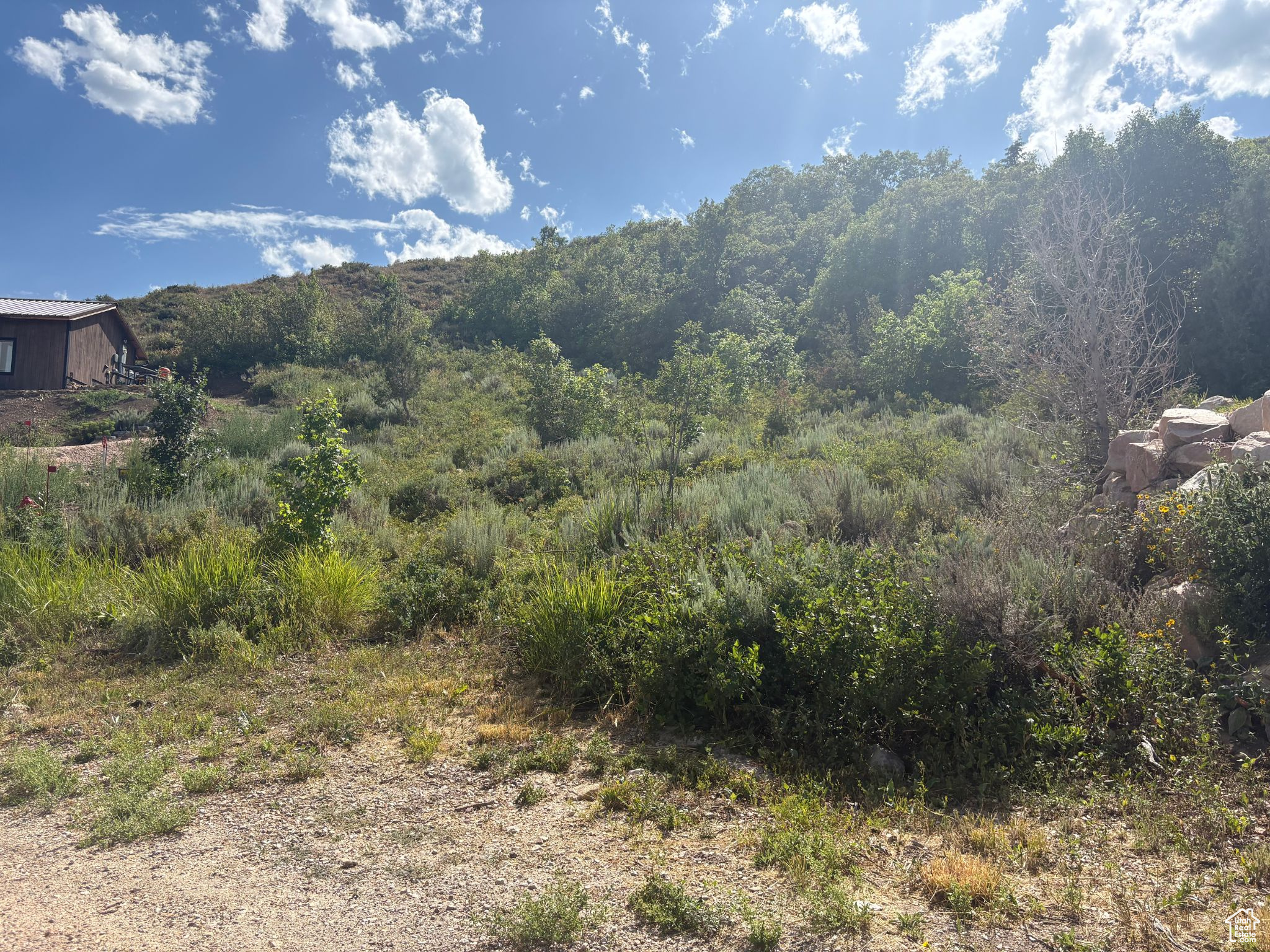 BEAR LAKE WEST PLAT C - Land