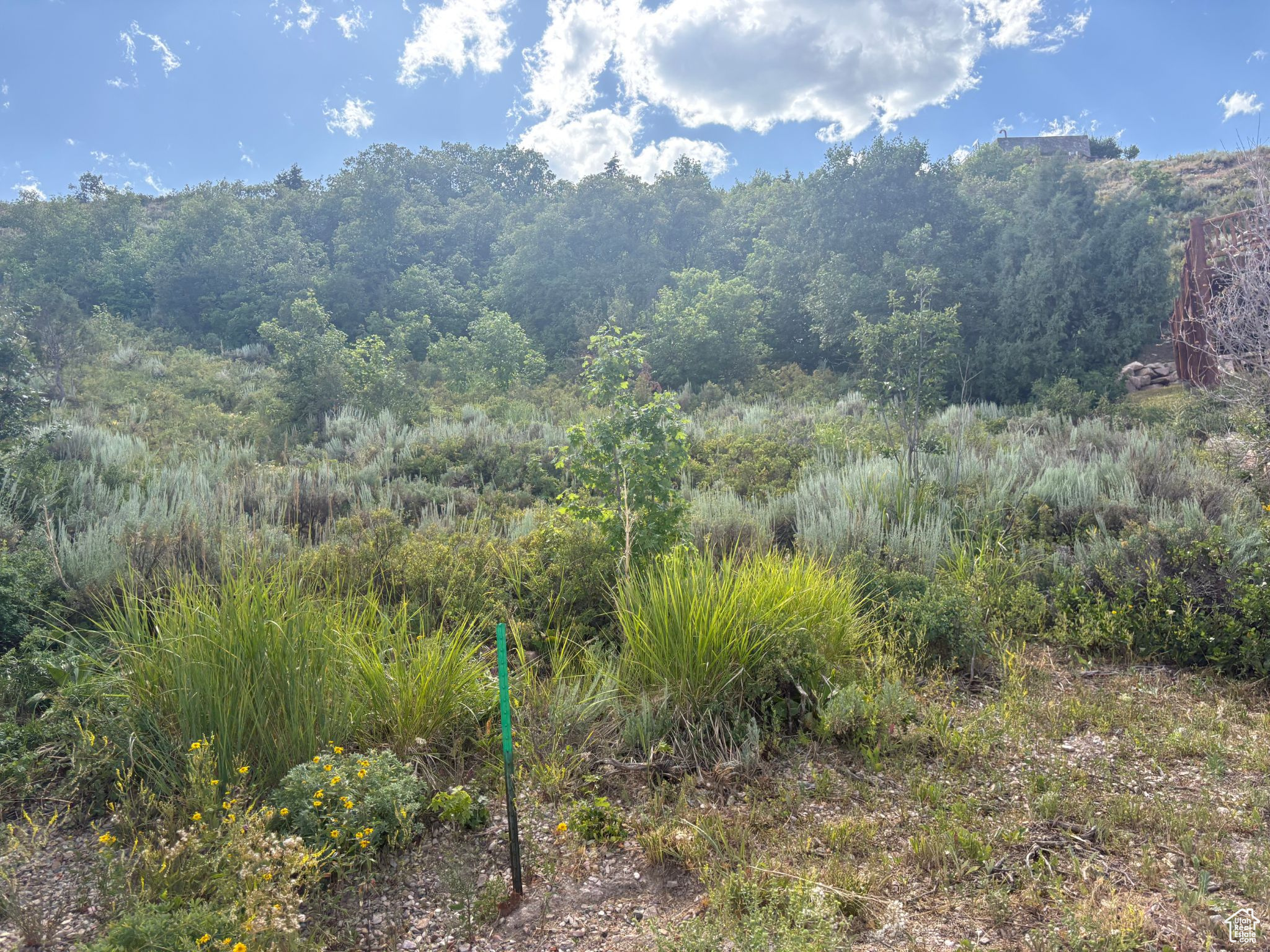 BEAR LAKE WEST PLAT C - Land