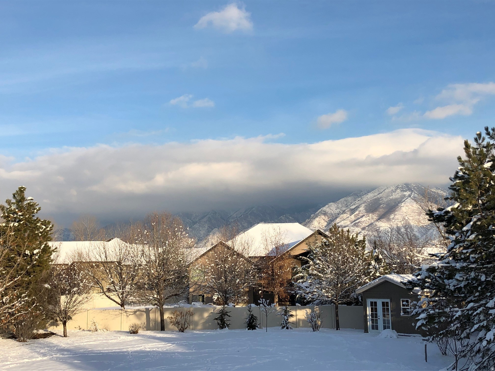 MEADOWS - Residential