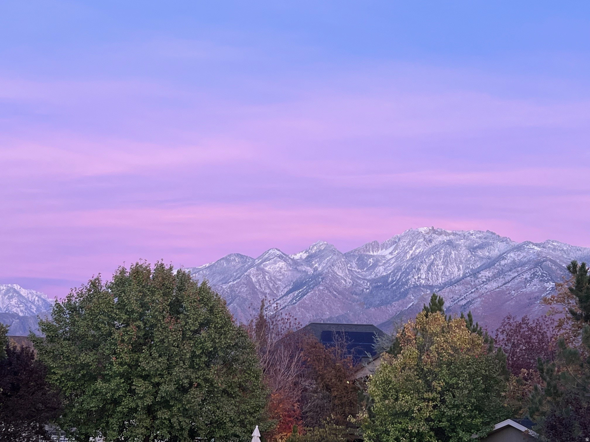 MEADOWS - Residential