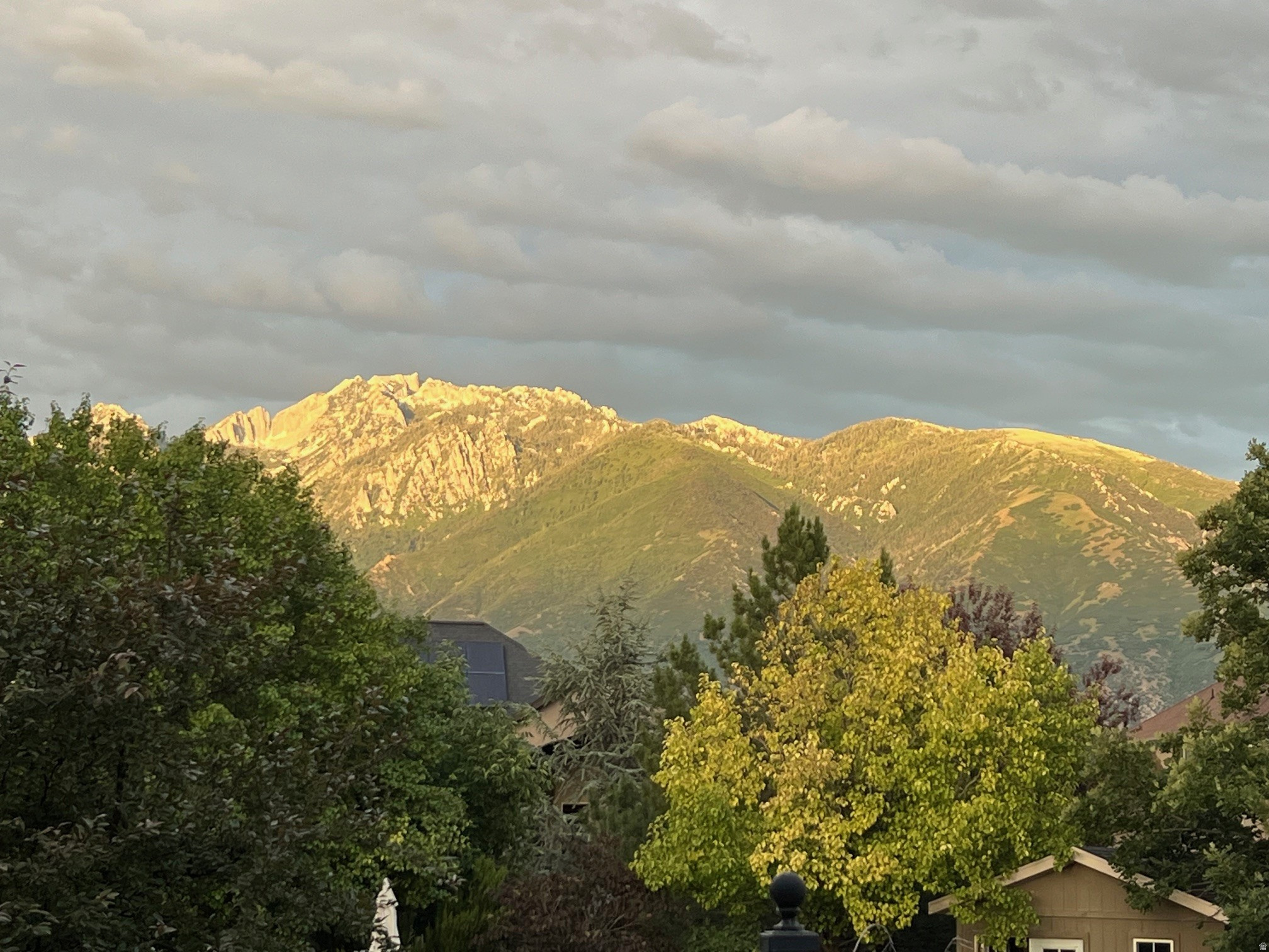 MEADOWS - Residential