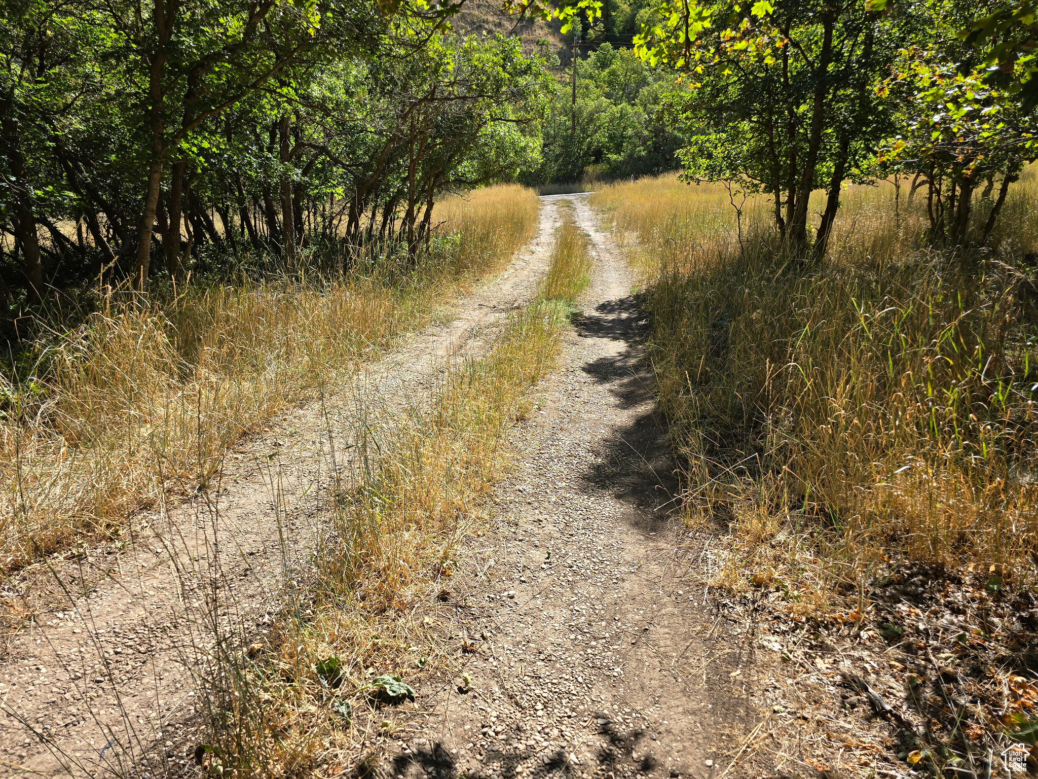 Elk Ridge, Utah 84651, United States, ,Land,Active,46923