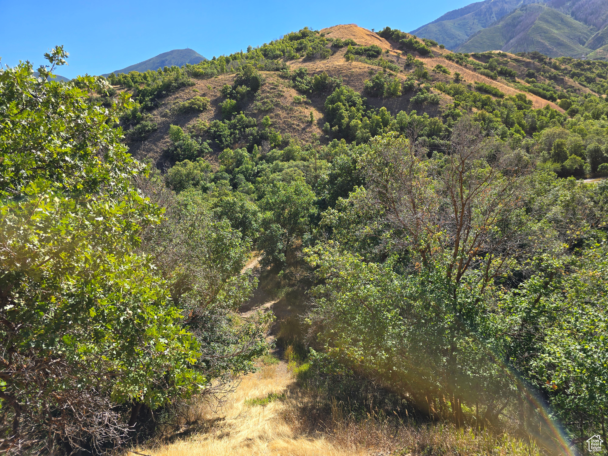 Elk Ridge, Utah 84651, United States, ,Land,Active,46923