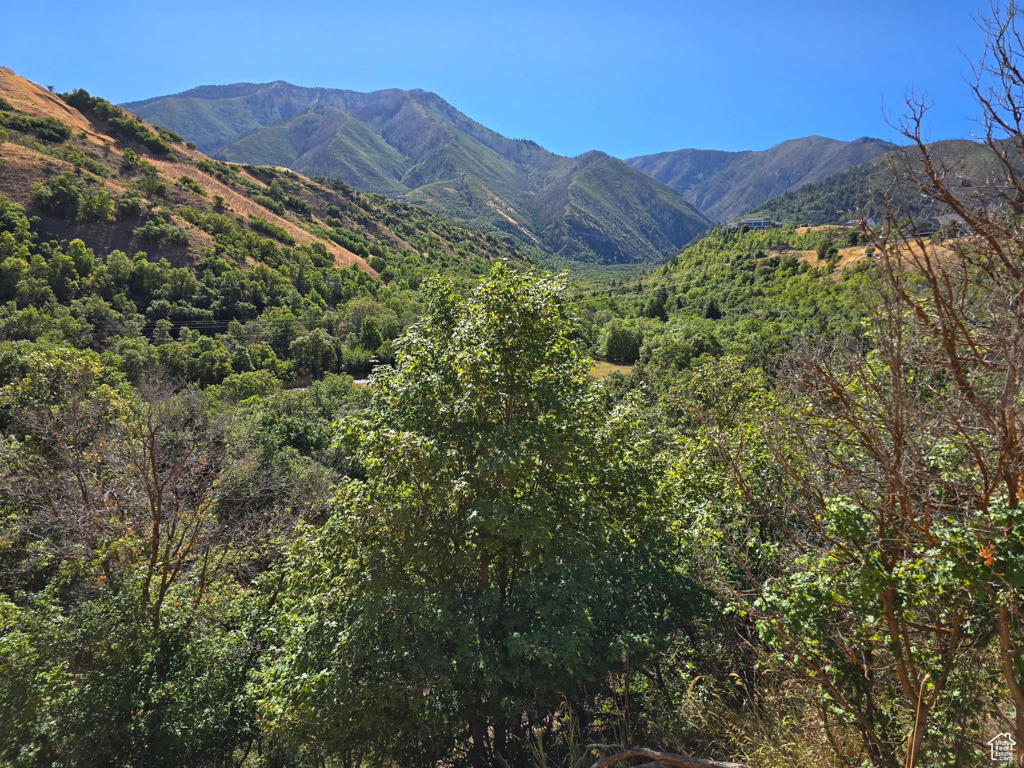 Elk Ridge, Utah 84651, United States, ,Land,Active,46923