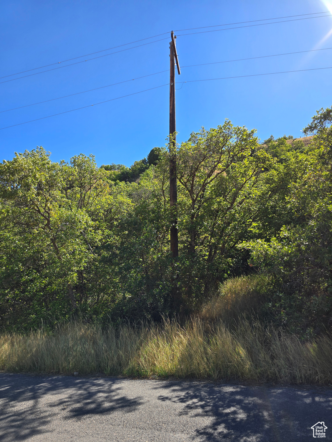 Elk Ridge, Utah 84651, United States, ,Land,Active,46923