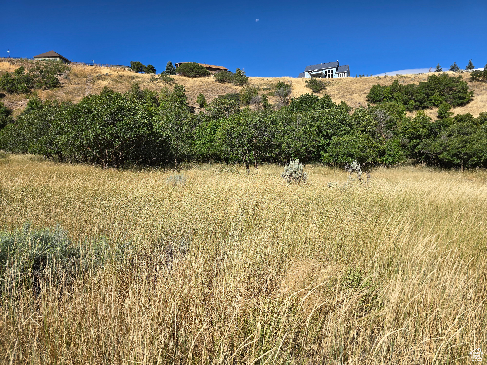 Elk Ridge, Utah 84651, United States, ,Land,Active,46923