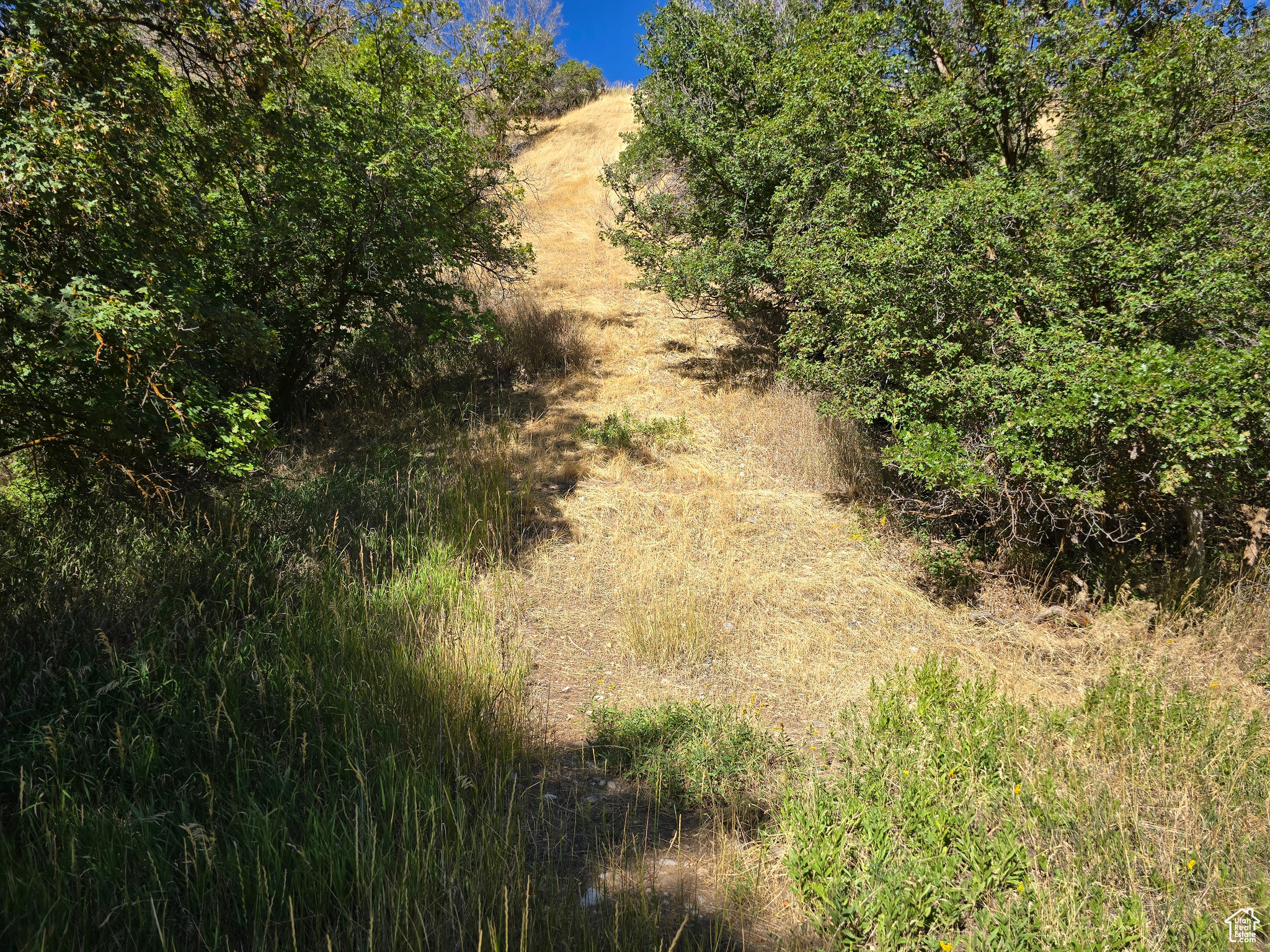 Elk Ridge, Utah 84651, United States, ,Land,Active,46923