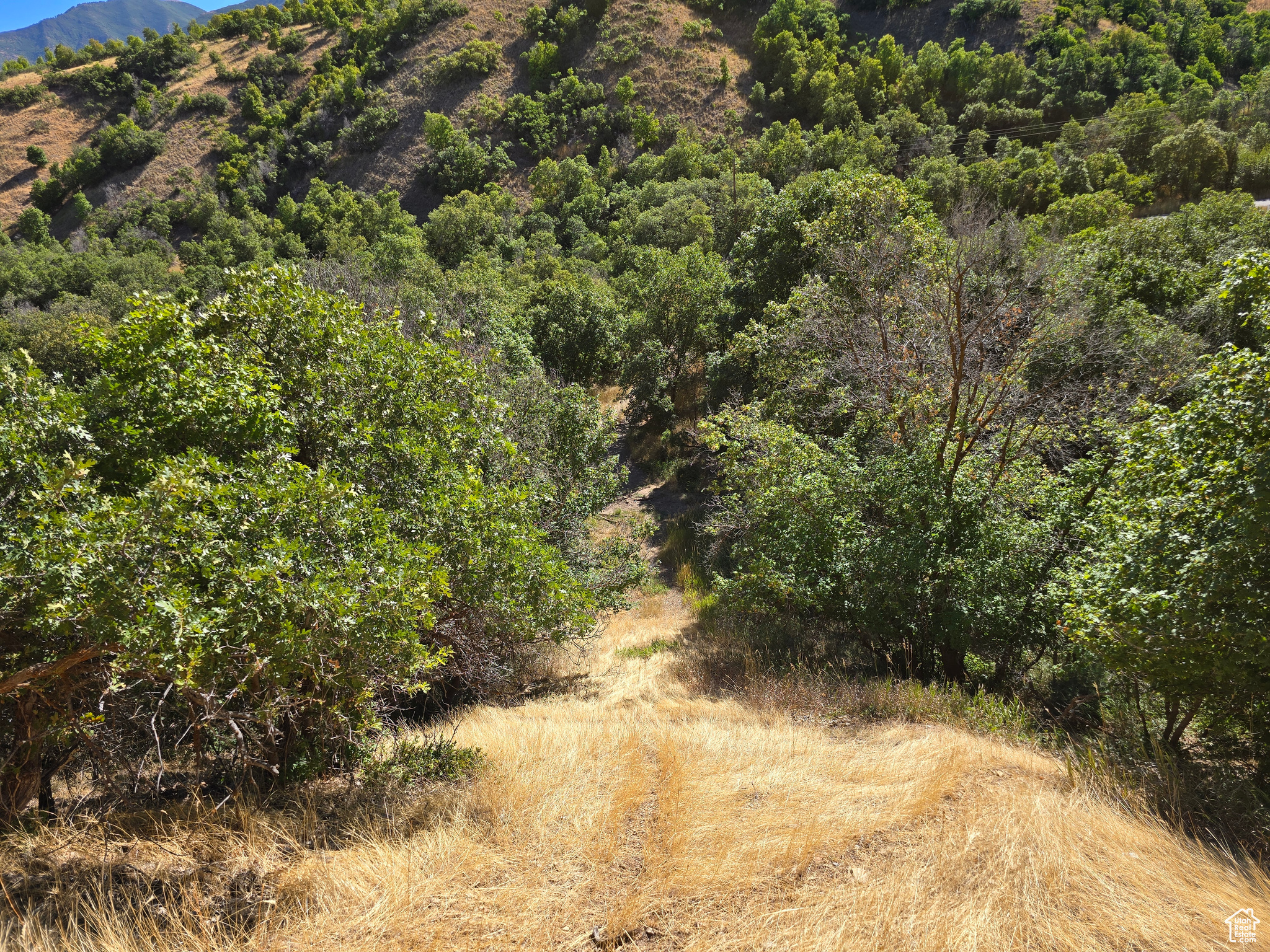 Elk Ridge, Utah 84651, United States, ,Land,Active,46923