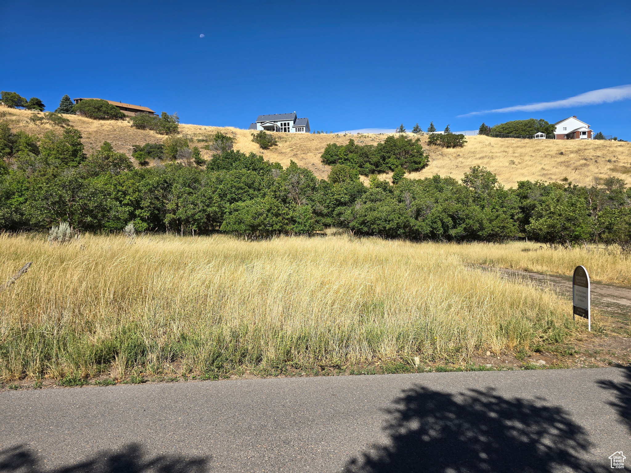 Elk Ridge, Utah 84651, United States, ,Land,Active,46923