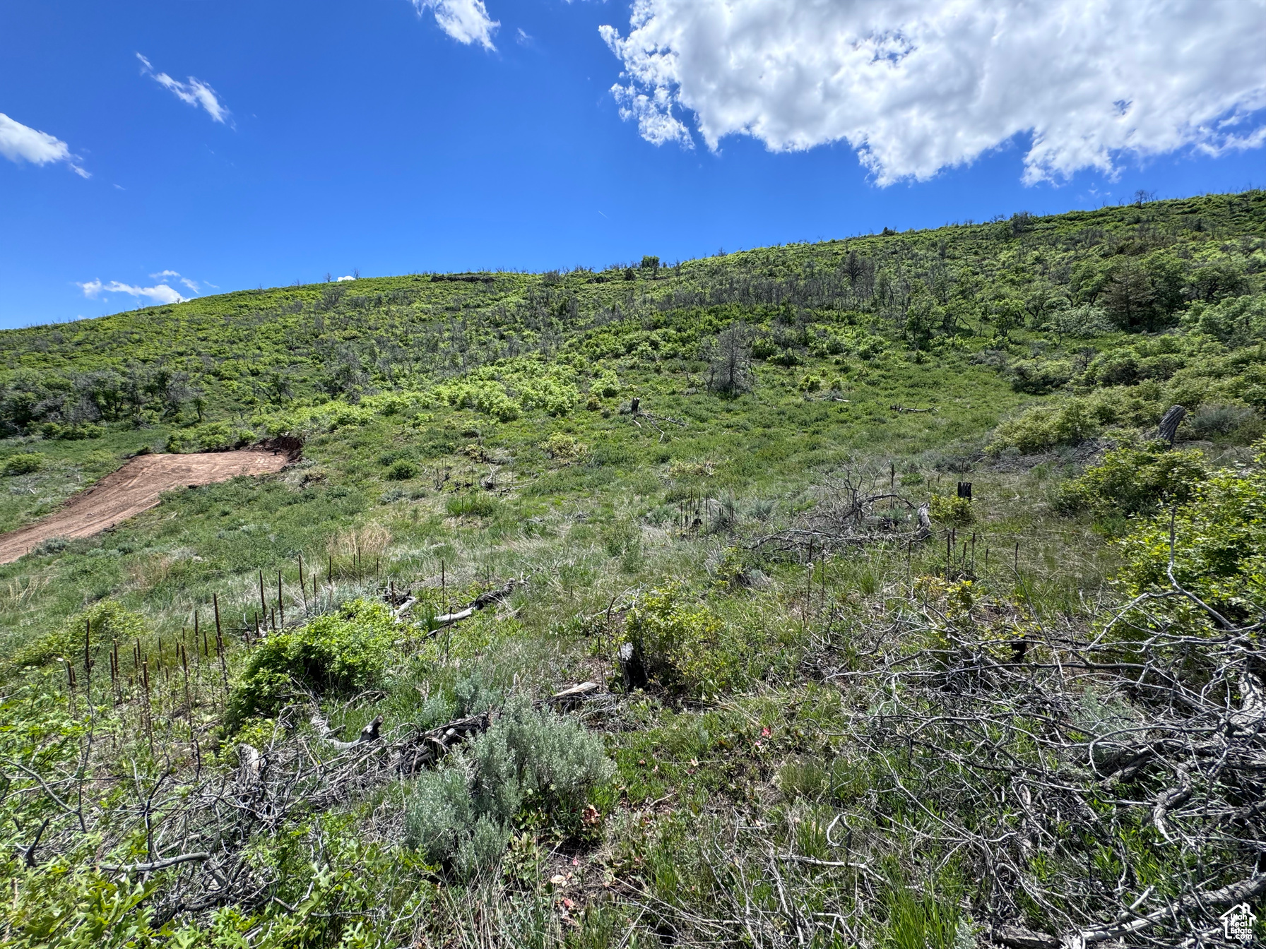 HIDEAWAY VALLEY - Land