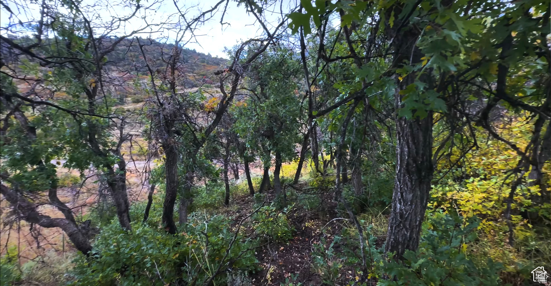 HIDEAWAY VALLEY - Land