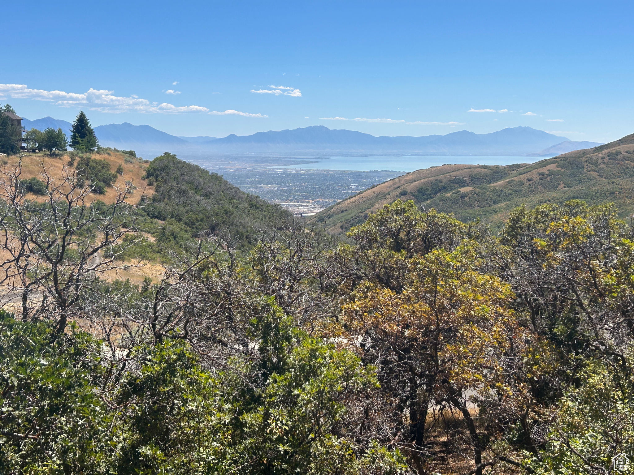DEER RIDGE #2 AT SUNCREST - Land