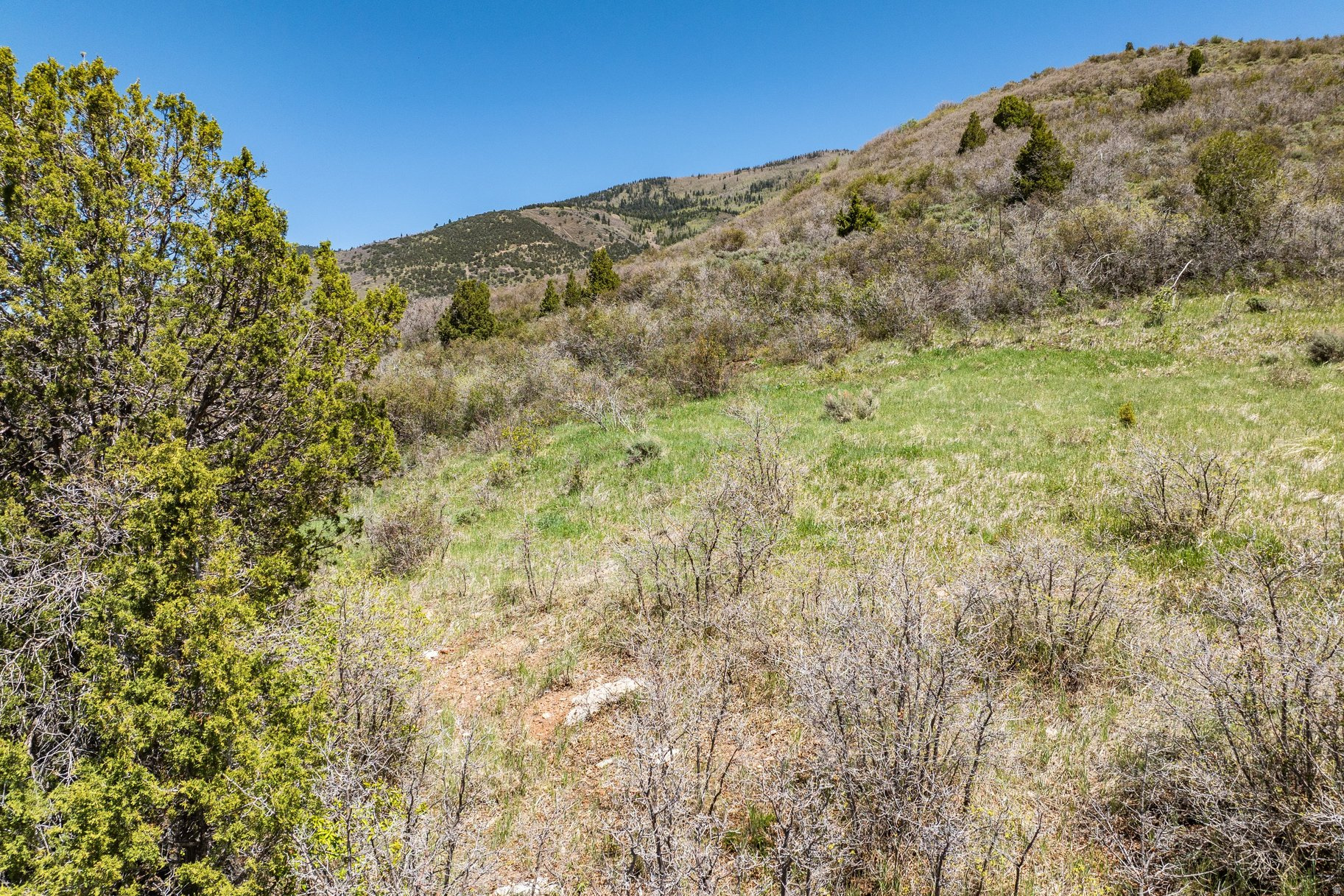 KAMAS EAST - Land