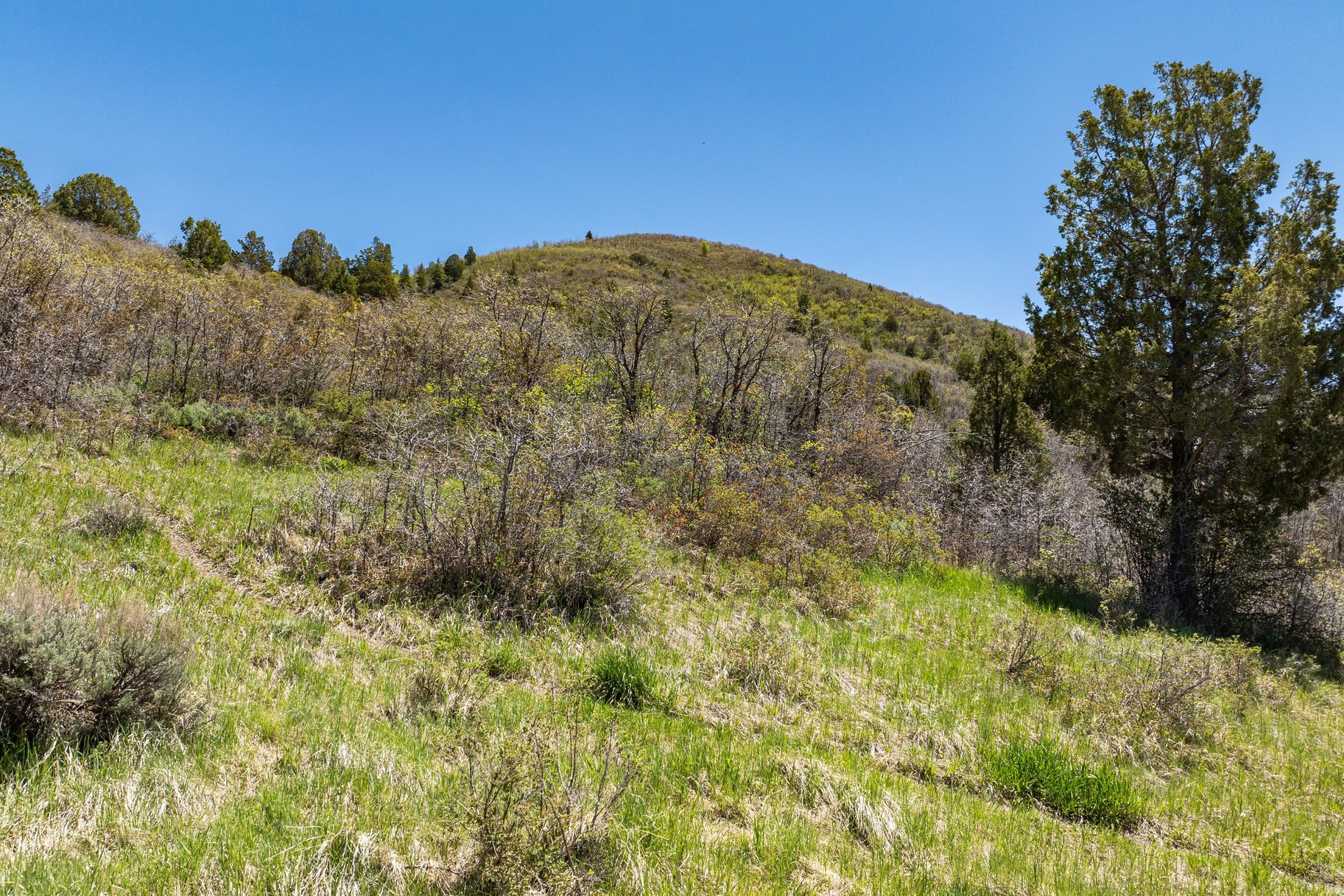 KAMAS EAST - Land