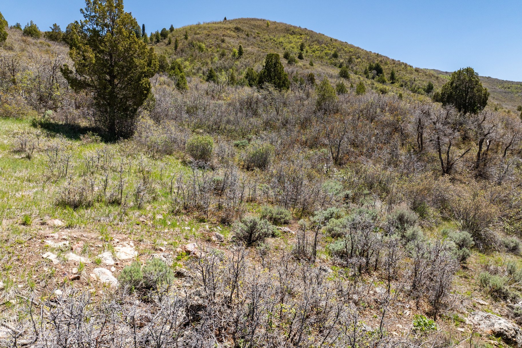 KAMAS EAST - Land