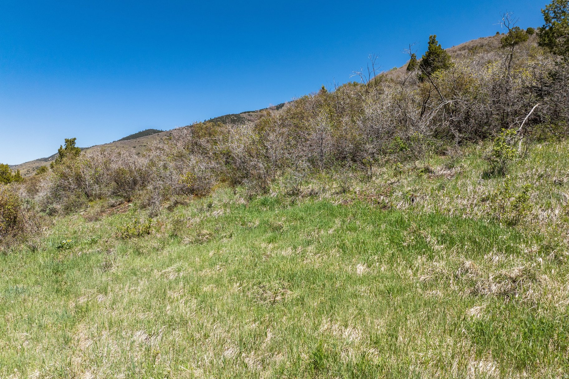 KAMAS EAST - Land