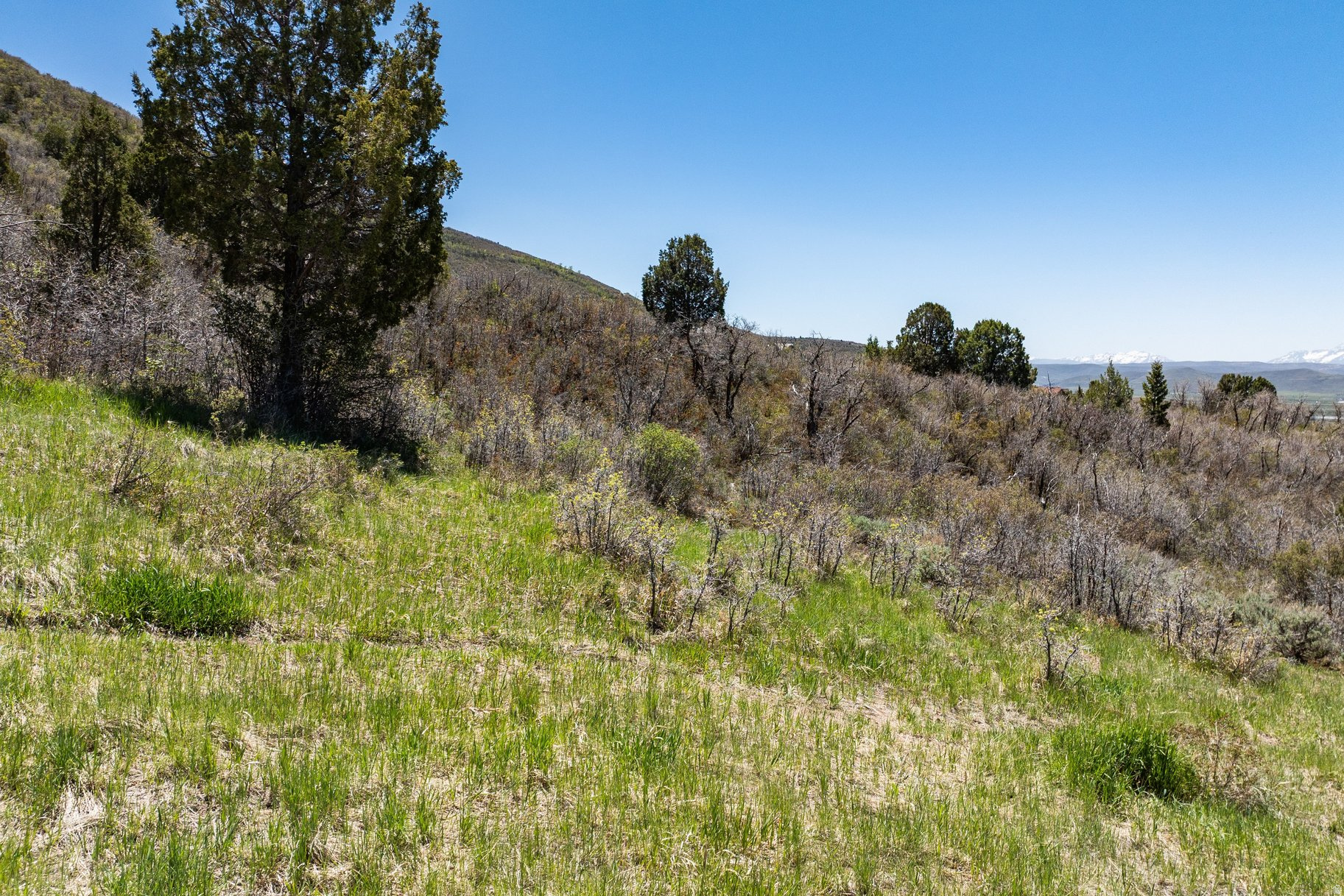 KAMAS EAST - Land