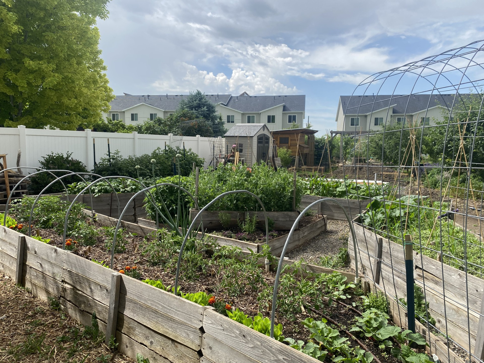 ROYLANCE FARMS - Residential Income